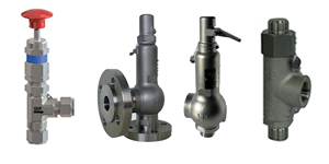 Safety & Relief Valves category image