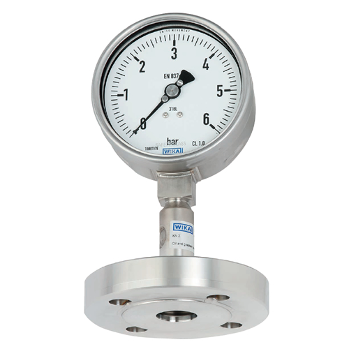 DSS26M FLANGED DIAPHRAGM SEAL SYSTEM WITH PRESSURE GAUGE